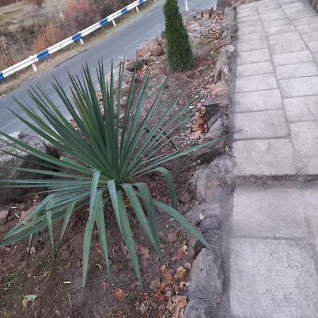 Green World Byurakan Luaran gambar